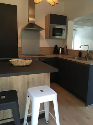 Cuisine ou kitchenette dans l'établissement Maison familiale dans les pins à 500m de la plage