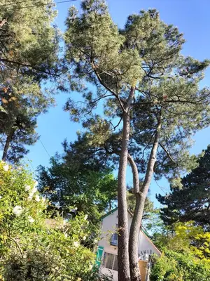 Plan de l'établissement Maison à 50 M de la plage sous les pins
