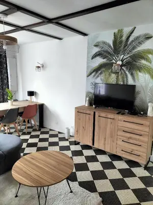 Télévision ou salle de divertissement dans l'établissement Maison à 50 M de la plage sous les pins