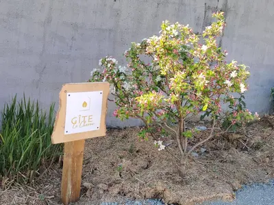 Jardin de l'établissement Les Gîtes C&H
