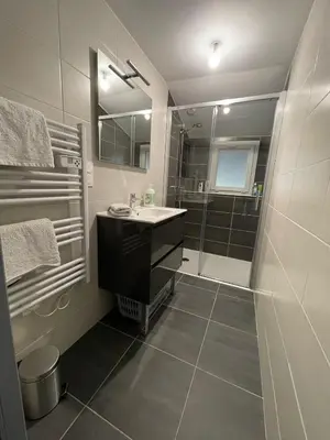 Salle de bains dans l'établissement Gîte de 4 chambres - Ancenis A11 - Logis du Château Rouge