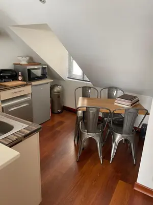 Cuisine ou kitchenette dans l'établissement 2 pièces de 46 m2 en plein cœur de Nantes