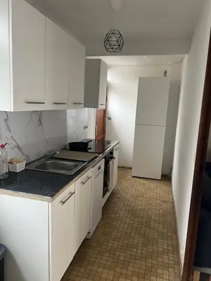 Cuisine ou kitchenette dans l'établissement Nantes Maison entière 5 lits La Coulée