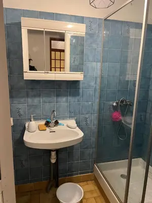 Salle de bains dans l'établissement Nantes Maison entière 5 lits La Coulée