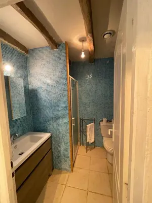 Salle de bains dans l'établissement Gîte de la Rochejaquelein