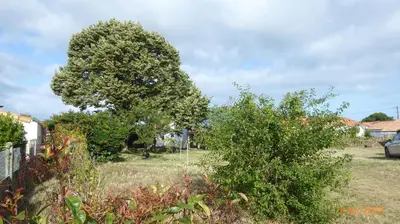 Jardin de l'établissement Brise de l ocean