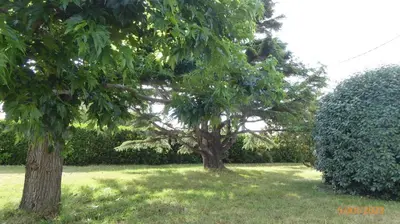 Jardin de l'établissement Brise de l ocean