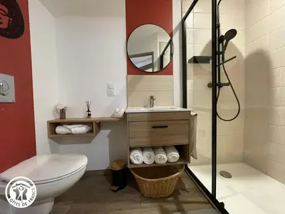 Salle de bains dans l'établissement Charmant gîte en Vendée proche Puy du Fou - FR-1-426-566