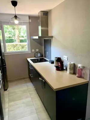 Cuisine ou kitchenette dans l'établissement Charmant T3 avec jardin et piscine