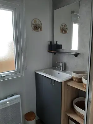 Cuisine ou kitchenette dans l'établissement Mobil-home Le Bora Bora 202