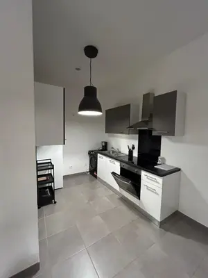 Cuisine ou kitchenette dans l'établissement chambre meublée Nantaise dans un T3 commun avec terrasse