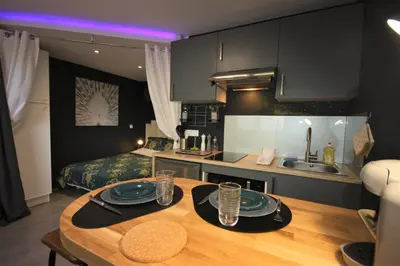 Cuisine ou kitchenette dans l'établissement L'Appart - Résidence Chez Gally à Angers