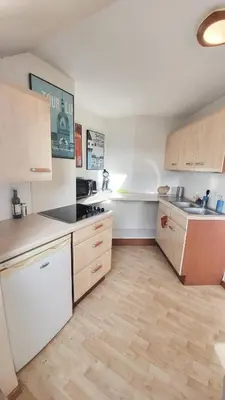Cuisine ou kitchenette dans l'établissement MAGELLAN Studio proche Loire et CHU