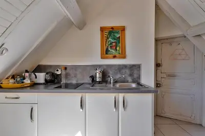 Cuisine ou kitchenette dans l'établissement T1 bis charmant Place Graslin