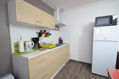 Cuisine ou kitchenette dans l'établissement Appart-alma
