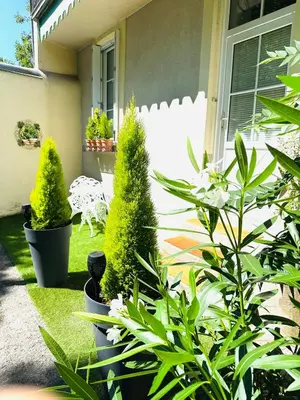 Jardin de l'établissement Studio charmant Parking & terrasse près du centre