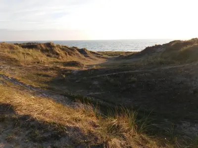 Paysage naturel près de l'appartement