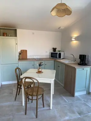 Cuisine ou kitchenette dans l'établissement Studio 2-3 pers