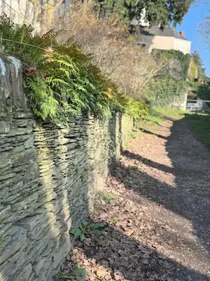 Plan de l'établissement Maison 4 chambres près d Angers et à 500 m de la Loire