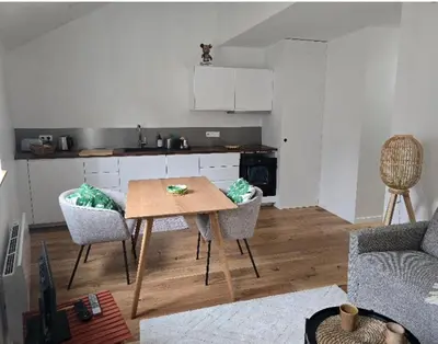 Cuisine ou kitchenette dans l'établissement Centre ville Appart T2, 2 à 4 pers, immeuble de caractère