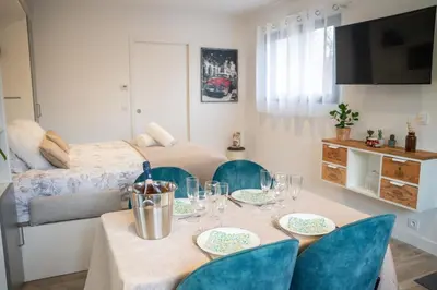Télévision ou salle de divertissement dans l'établissement Projecteur sur ma bulle - Studio Viens dans ma bulle avec JACUZZI privé