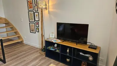 Télévision ou salle de divertissement dans l'établissement Le gîte de Billie Centre le Fuilet
