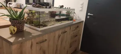 Cuisine ou kitchenette dans l'établissement Maison 4 chambre 11personnes grand jardin