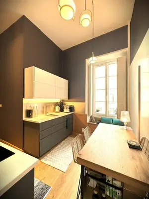 Cuisine ou kitchenette dans l'établissement Illustre-Appartement de caractère hypercentre-Balcon