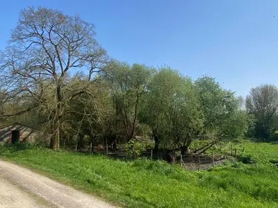 Paysage naturel près de la maison de vacances