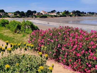 Paysage naturel près de la maison de vacances