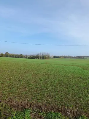 Paysage naturel près de la maison de vacances