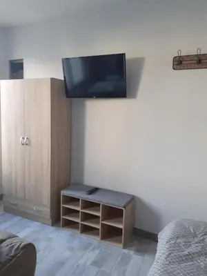 Télévision ou salle de divertissement dans l'établissement GITE Le Petit Doué