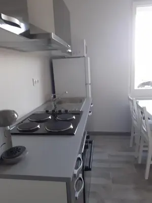 Cuisine ou kitchenette dans l'établissement GITE Le Petit Doué
