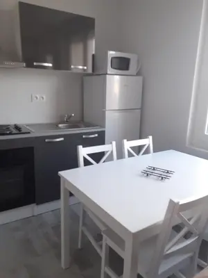 Cuisine ou kitchenette dans l'établissement GITE Le Petit Doué