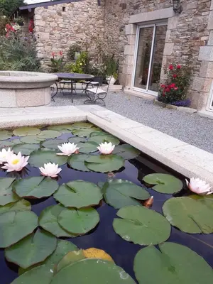 Jardin de l'établissement La Petite Bérais