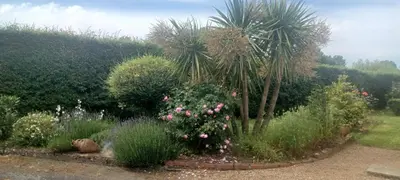 Jardin de l'établissement Les lavandières