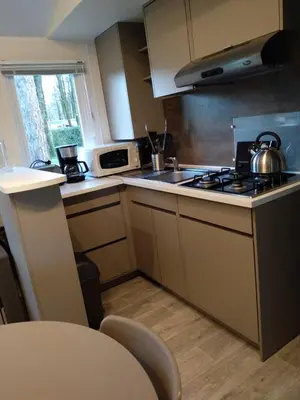 Cuisine ou kitchenette dans l'établissement Mobil Home