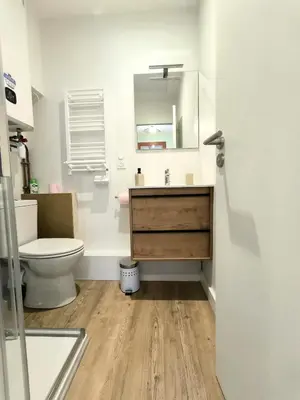 Salle de bains dans l'établissement Appartement pour deux, proche plage et foret, animaux bienvenus