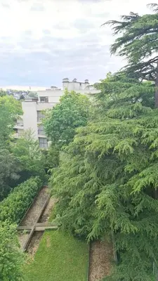 Jardin de l'établissement Pause Chézine