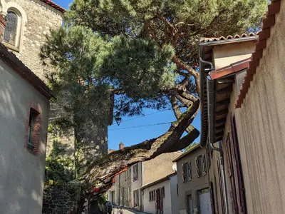 Plan de l'établissement Appartement atypique avec wifi au cœur de Clisson - FR-1-306-1310