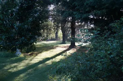 Jardin de l'établissement Authenticity & Relaxation Longère with Wooded Park