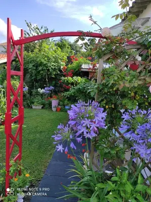 Jardin de l'établissement Maisonnette STUDIO Independent