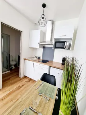 Cuisine ou kitchenette dans l'établissement Studio 2 Cosy en centre-ville - Puy duFou