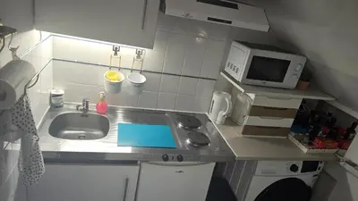 Cuisine ou kitchenette dans l'établissement Petit Appartement Nantais
