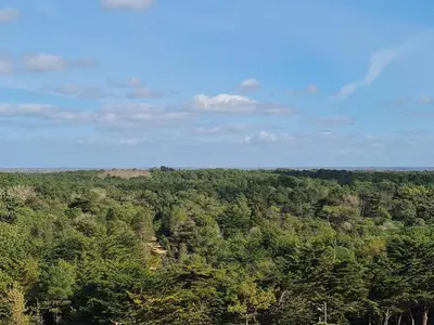 Paysage naturel près de l'appartement