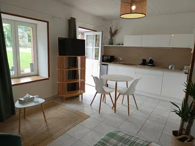 Cuisine ou kitchenette dans l'établissement Studio équipé, proche aéroport