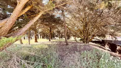 Jardin de l'établissement Maison Hirondelles, piscine mer et forêt