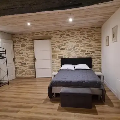 Gite 12 personnes avec étang et piscine