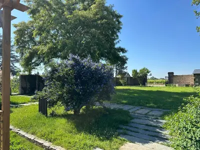 Jardin de l'établissement Les Gites de Princé