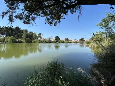 Paysage naturel près de l'appartement